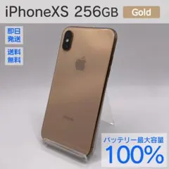 Apple iPhone XS 256GB ケース付 バッテリー最大容量100%
