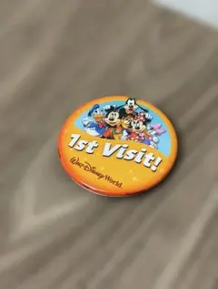 缶バッジ2個 Walt Disney World 海外限定