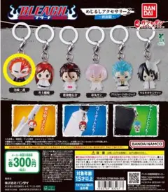 BLEACH 黒崎一護　めじるしアクセサリー