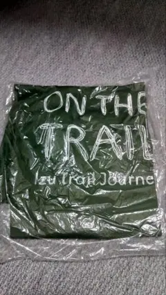 Item thumbnail for item 0d24d4a7-2d6a-4c8c-8d02-eb6f92caa439