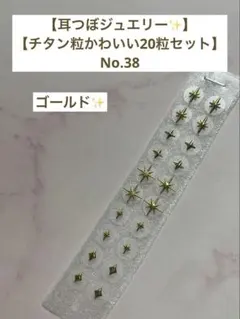 【耳つぼジュエリー✨】 【チタン粒かわいい20粒セット】No.38