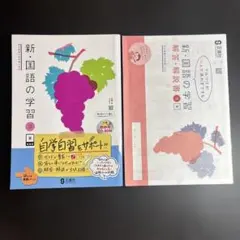 新・国語の学習 3 東 解答・解説書付のサムネイル