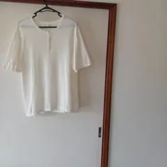 ZARA　ザラ　ヘンリーネックTシャツ(ニット)※ホワイト【M】極美品　完売品のサムネイル
