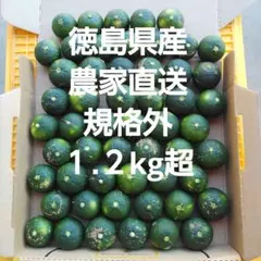 露地スダチ(二級品) 正味10kg超 - メルカリ