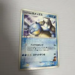 シリーズ:PCG;listno_Pokemon:20505;カード名:ショウタ…のサムネイル