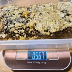 わけあり品　ニホンミツバチ コムハニー 550g 国産 はちみつのサムネイル