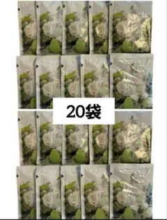 2026年最新】スリムビューティーハウスエンザイムの人気アイテム