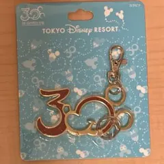 TOKYO Disney RESORT 30周年 キーリング