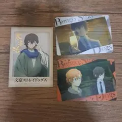 2026年最新】文豪ストレイドッグス ぱしゃこれ 中原中也の人気アイテム