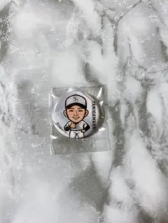 福岡ソフトバンクホークス 谷川原健太 缶バッジ - メルカリ