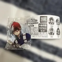 僕のヒーローアカデミア 轟焦凍 アクリルGIGAフィギュア　スタンド 2026年最新】アクリルGIGAフィギュア 轟焦凍の人気アイテム - メルカリ