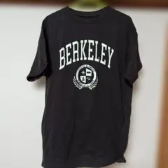 レピピアルマリオ　ワンピース