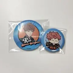 ヒプマイ 毒島メイソン理鶯 ガチャ 缶バッジ ぴたでふぉめ ヒプノシス
