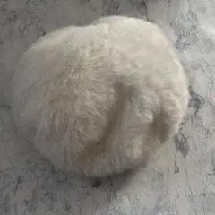 【新品未使用】ホワイト 白　ファー　ふわふわ　可愛い　ベレー帽