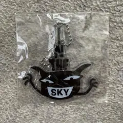 【未開封】アランジアロンゾ　キーホルダー　わるもの　スカイツリー