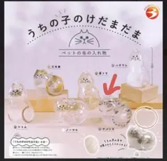 東信仁様 リクエスト 2点 まとめ商品