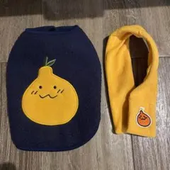 Item thumbnail for item 433384dd-cf82-44b5-a981-0a84436996fa