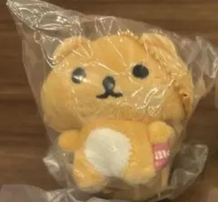 マニアっくん専用