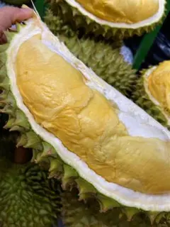 ドリアン 訳あり品 訳あり品 5kg 佐川冷蔵発送 - メルカリ