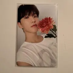 SEVENTEEN ホシ 17is right here Carat版 トレカ