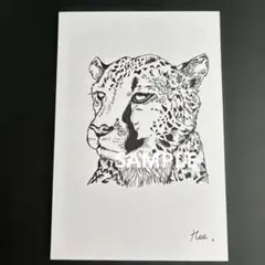チーターのペン画 イラスト アートのサムネイル