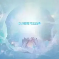 なお様ご注文専用出品✿