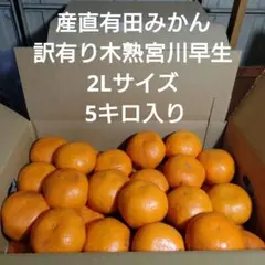 産直有田みかん 訳有り木熟宮川早生 2L 5キロ入り 28−11