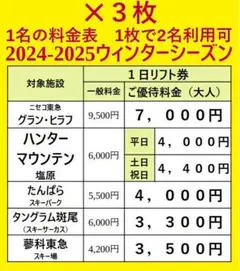 リフト券割引券3枚セット 1枚で大人2名可グラン・ヒラフハンターマウンテン他⑦