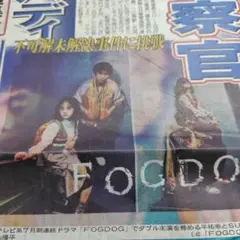 新聞記事☆丸山隆平☆平祐奈☆BTS