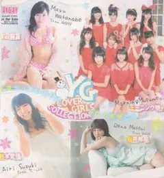 ●ヤングガンガン 2013年No.5 付録DVD◇篠崎愛 モーニング娘。●