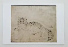 藤田嗣治 FOUJITA ポストカード 没後50年展 猫 1932年 個人蔵