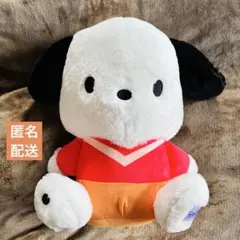 2026年最新】ポチャッコ ぬいぐるみ bigの人気アイテム - メルカリ