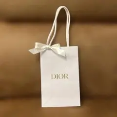 新品未使用　DIOR ディオール　ショップ袋　ショッパー　紙袋