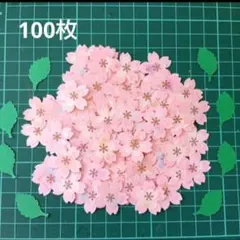 sammy様 リクエスト 2点 まとめ商品