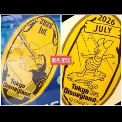 ディズニー スーベニアメダル7月マンスリー　 2種セット フック船長 ピグレットのサムネイル