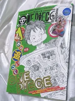 【はやいもの勝ち❗️】プロモ付✨　ワンピースマガジン別冊　10冊セット ワンピースマガジンvol17 付録付き 花魁ヤマトプロモ - メルカリ