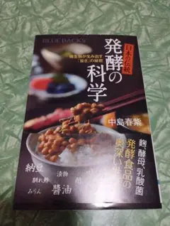 R様 リクエスト 2点 まとめ商品