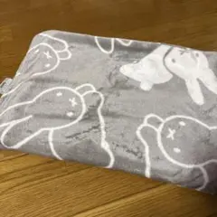 Item thumbnail for item c3699cd1-71bc-47e0-a445-f6d8c217e37c