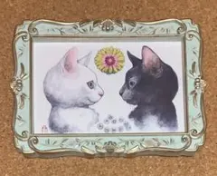 ボリス雑貨店　フォトフレーム入　ポストカード 白猫黒猫　ねこ ヒグチユウコ