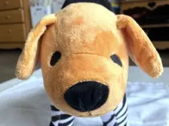 【新品未使用・タグ付き】ポップサーカス ゼブラ犬 変身ぬいぐるみ シマウマ