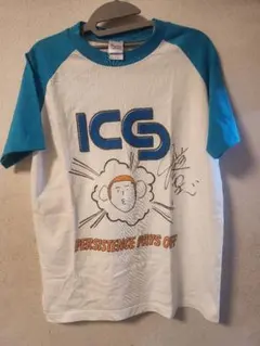 桜庭和志フィギア(水色TシャツVer) bb09f1620ce79e123fda309d4680b4