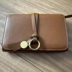 Item thumbnail for item a1f4e729-c2cb-44ad-b9ff-47275c1fd08f