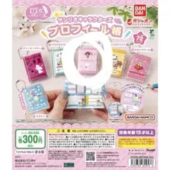 サンリオキャラクター プロフィール帳 シュガーバニーズ