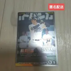 プロ野球　ファンスターズリーグ　柿の種　 　コード未使用
