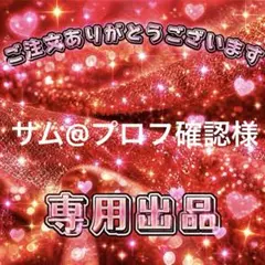 サム@プロフ確認様　専用出品ページ