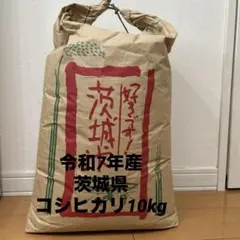 決まりました❗️令和4年玄米、30kg 2026年最新】玄米 30kg 令和4年産の人気アイテム - メルカリ