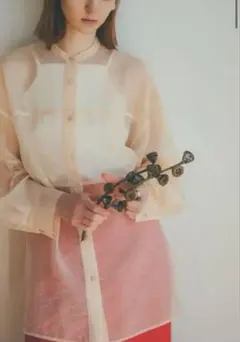 clane SWITCH SHEER SHIRT - YELLOWのサムネイル