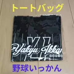 Item thumbnail for item 35b5ec2a-c58e-4041-9a73-e17441441009