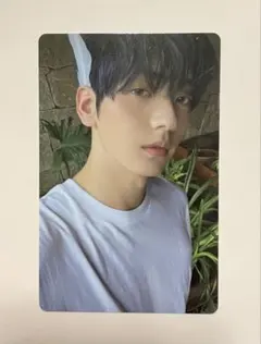 txt Sanctuary Angel トレカ スビン