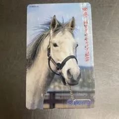 2026年最新】オグリキャップ カードコレクションの人気アイテム - メルカリ